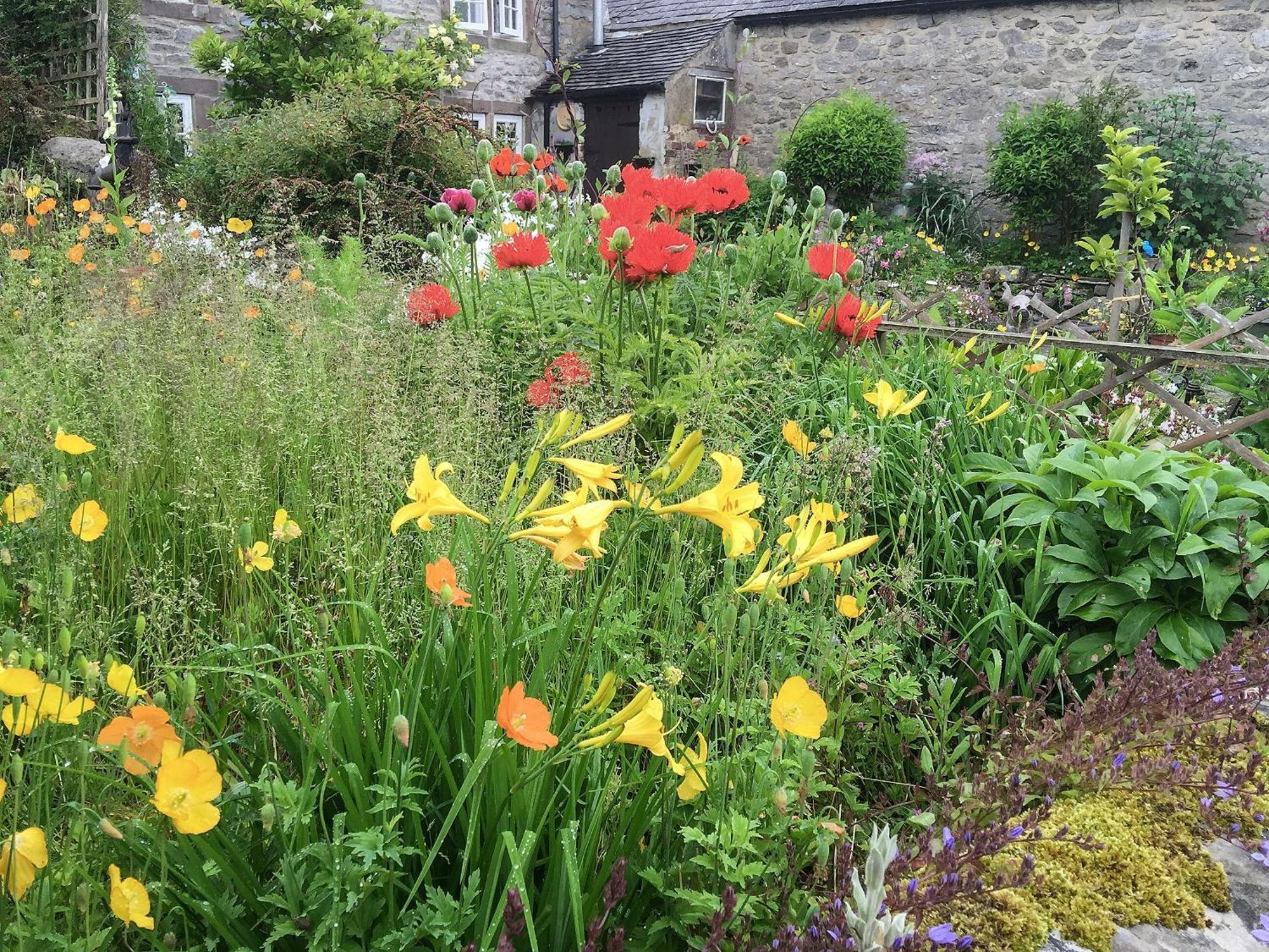 Wild Flower Cottage Youlgreave Exterior photo